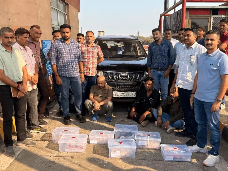 અમદાવાદમાં 25 કરોડના ડ્રગ્સ સાથે UP-દિલ્હીના 3 કુખ્યાતની ધરપકડ:રાજ્યભરના અલગ-અલગ સ્થળે ડ્રગ્સ મોકલવાનું હતું