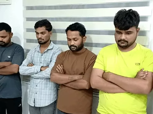 રાજકોટમાં સ્ટેમિના વધારવાની દવાના નામે ગંદી ક્લિપ્સનું કૌભાંડ:2,000 લોકોને સેક્સ પાવર વધારવાના નામે નકલી ડોક્ટર્સે ઠગ્યા