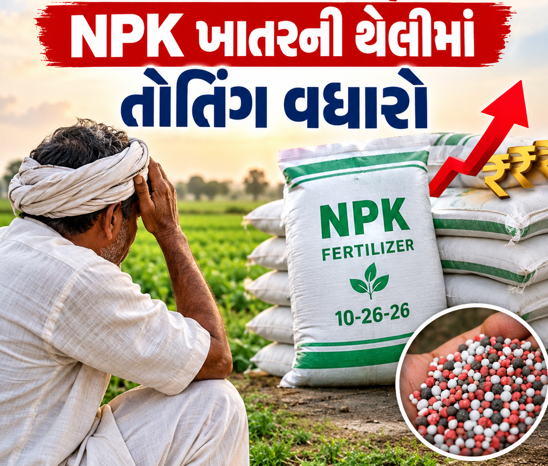 રવિ સીઝન પહેલાં જગતનો તાતની વધી ચિંતા, NPK ખાતરની થેલીમાં તોતિંગ વધારો